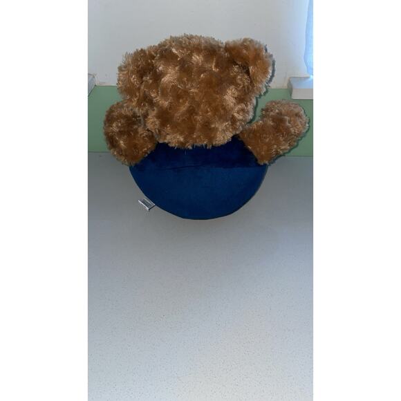 11" Forever Collectibles Sitting Plush Teddy Bear NFL Seattle Seahawks Football - Picture 4 of 6